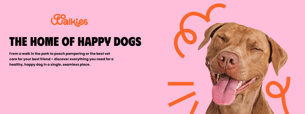 Pet Services Platform + Vet Chatbot Preview